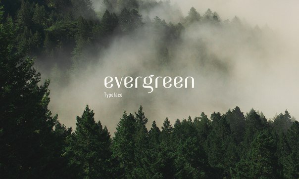 Evergreen font free download • AllBestFonts.com