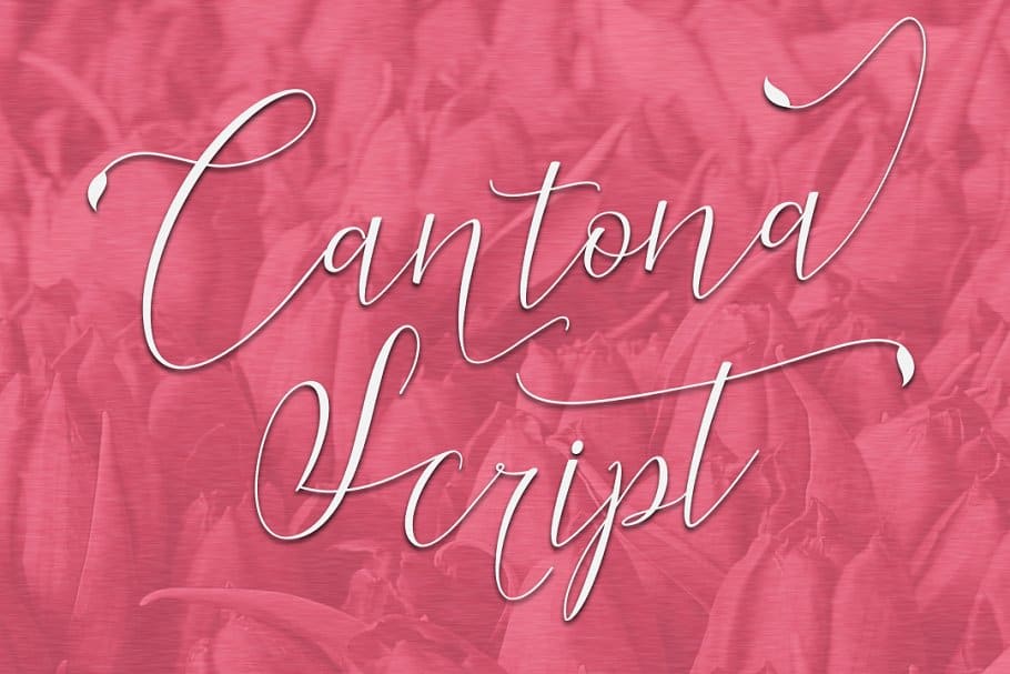 Download Cantona font (typeface)