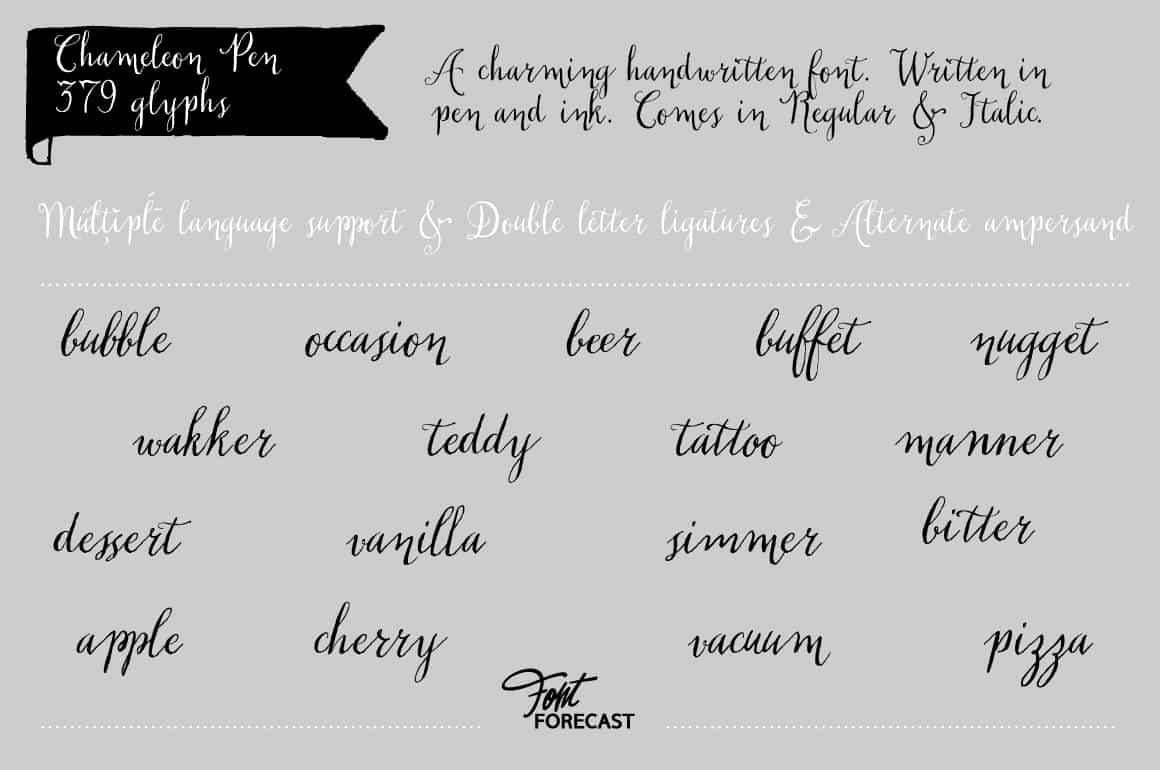 Download Chameleon Family font (typeface)