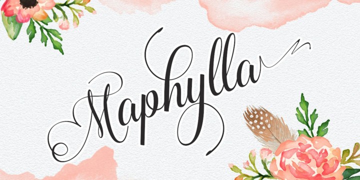 Download Maphylla font (typeface)