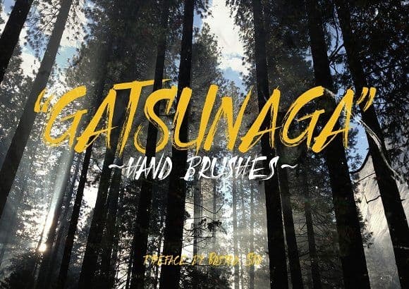 Download Gatsunaga Hand Brushes font (typeface)