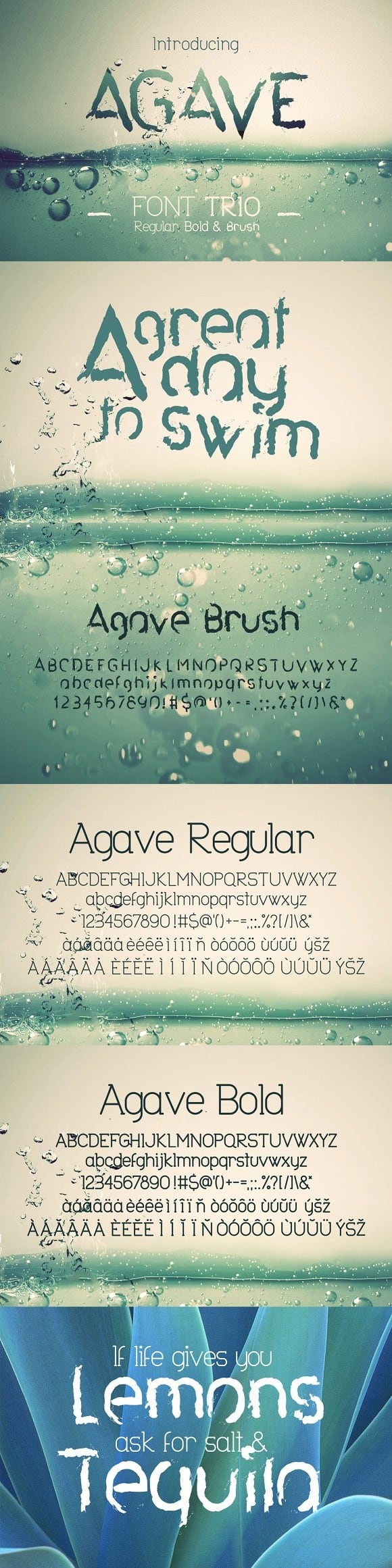 Download Agave Font Trio font (typeface)