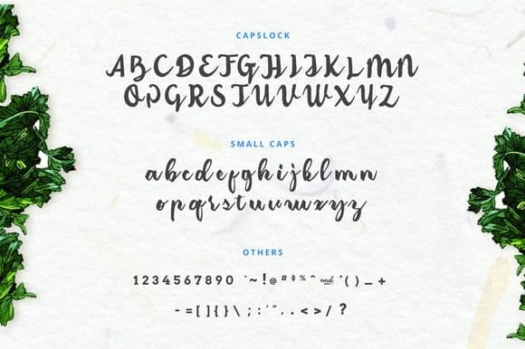 Download Amerizana font (typeface)