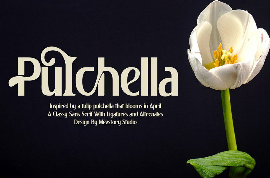 Download Pulchella font (typeface)
