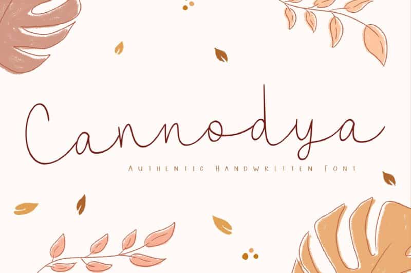 Download Cannodya font (typeface)