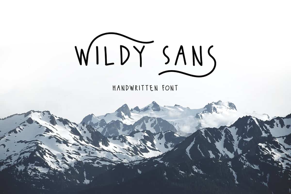 Download Wildy Sans font (typeface)