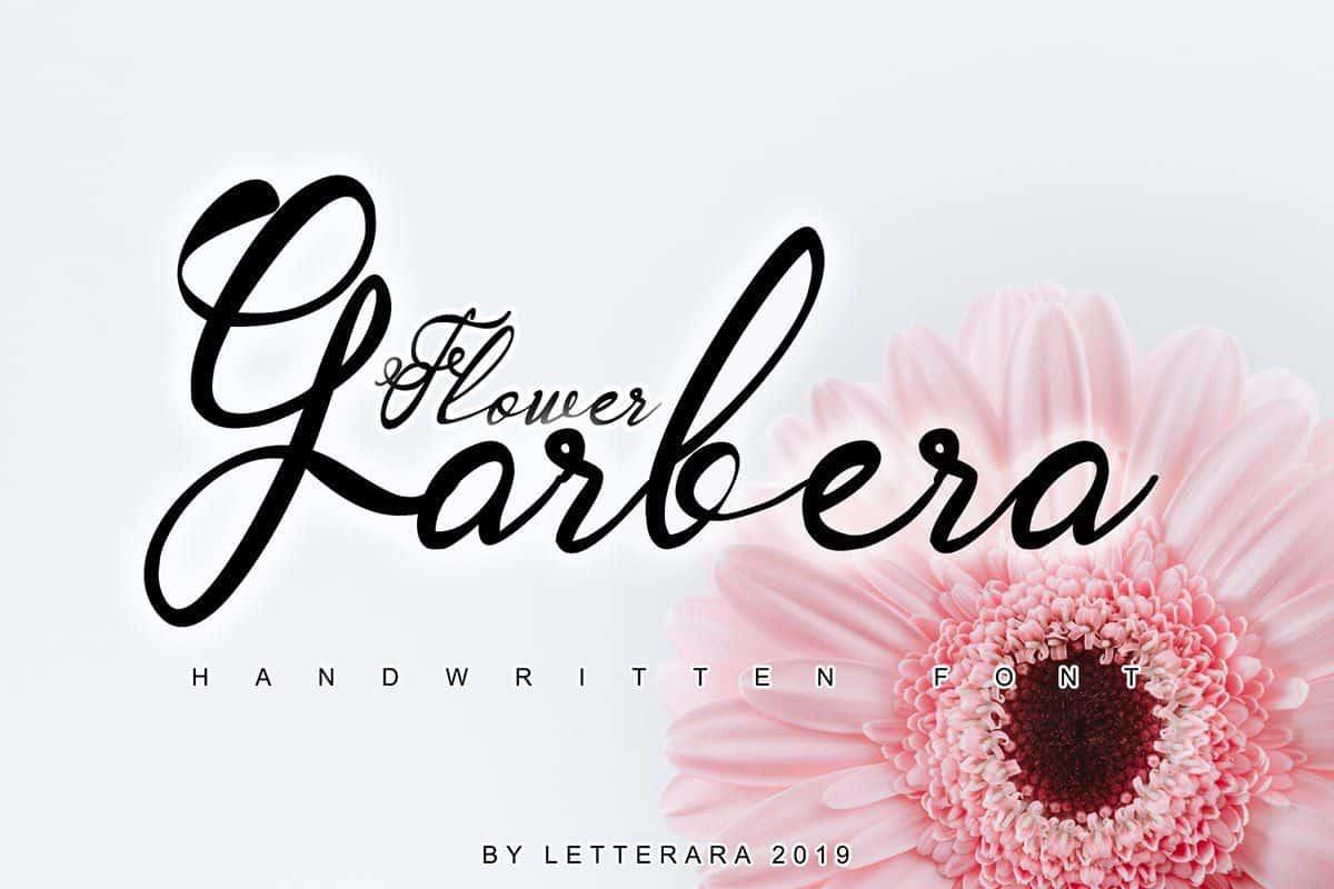 Download Garbera Flower font (typeface)