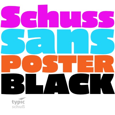 Schuss Sans CG Poster Black