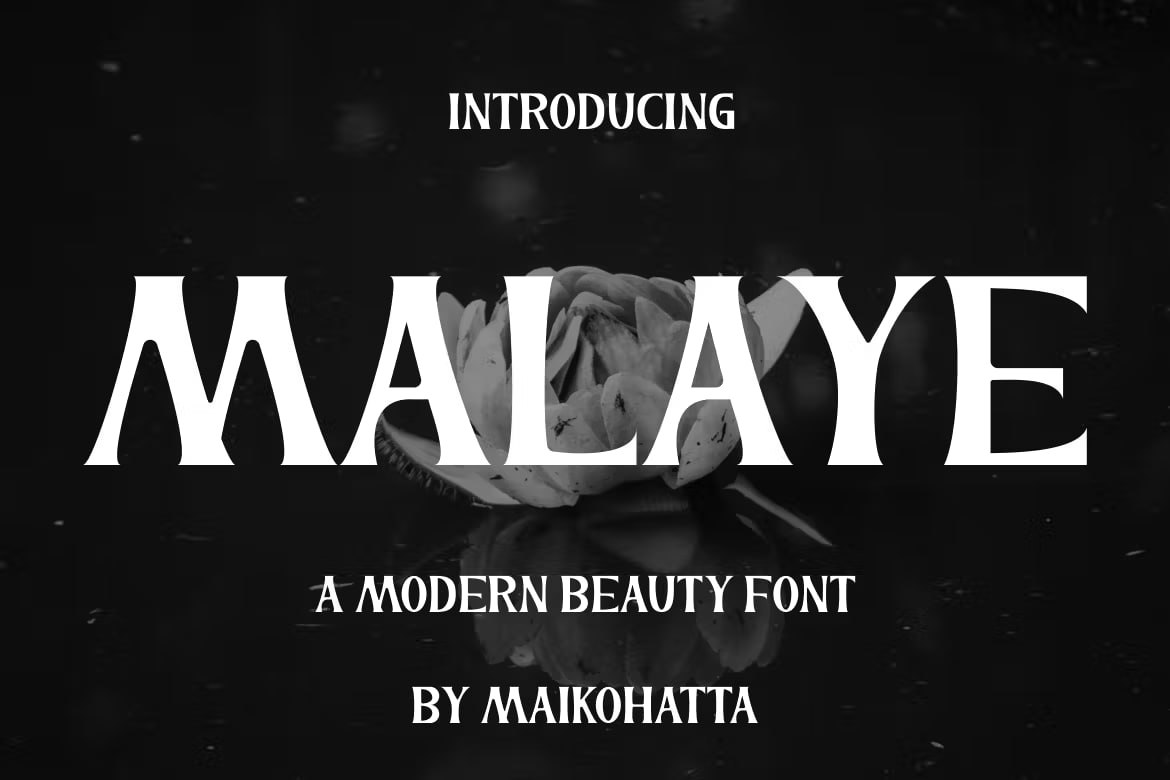 Download Malay font (typeface)