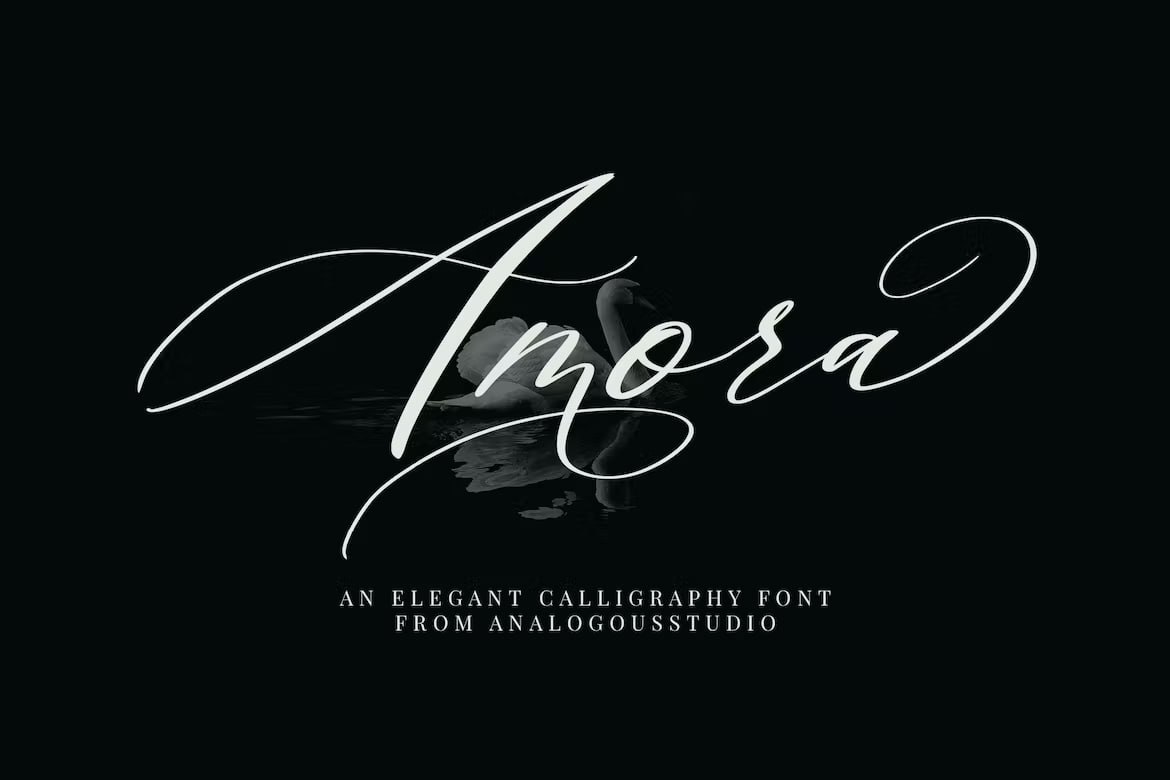 Download Amora Calligraphy font (typeface)